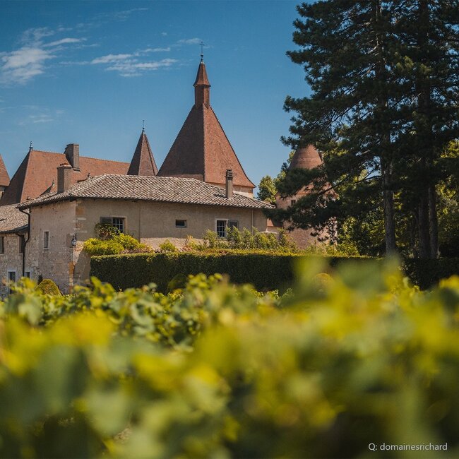 "Les Cassagnes" Blanc Côtes-du-Rhône 2023 0,75 l