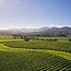 Sauvignon Blanc New Zealand 2025 0,75 l
