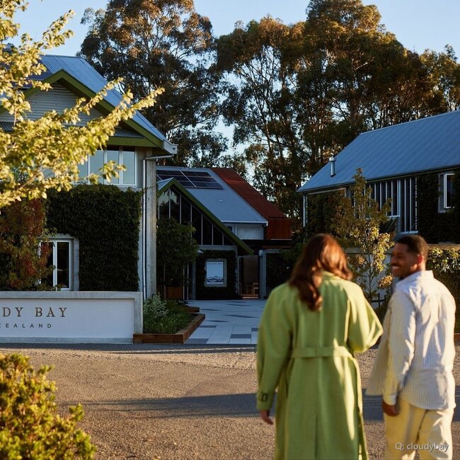 Sauvignon Blanc New Zealand 2025 0,75 l