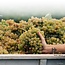 Gavi dei Gavi Etichetta Nera DOCG 2025 0,75 l