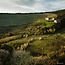 Altrovino Cabernet Franc Merlot Costa Toscana IGP 2021 0,75 l