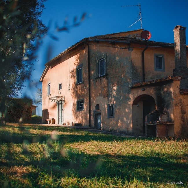 Galatrona Valdarno di Sopra DOC 2019 0,75 l