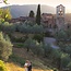 Galatrona Valdarno di Sopra DOC 2019 0,75 l