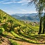 Stoan (CH/WB/SB/GTr) Alto Adige DOC 2023 0,75 l