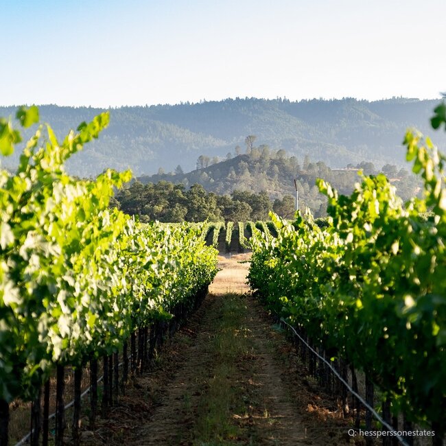 Hess Select Chardonnay Monterey County 2024 0,75 l