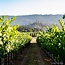 Hess Select Chardonnay Monterey County 2024 0,75 l
