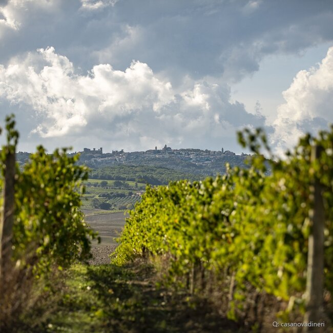 Brunello di Montalcino DOCG Tenuta Nuova 2019 0,75 l