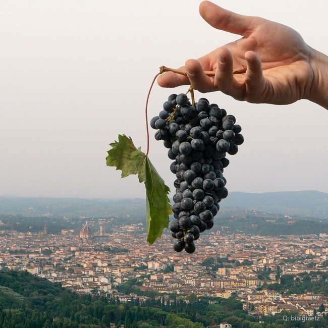 Colore Toscana IGP 2018 0,75 l