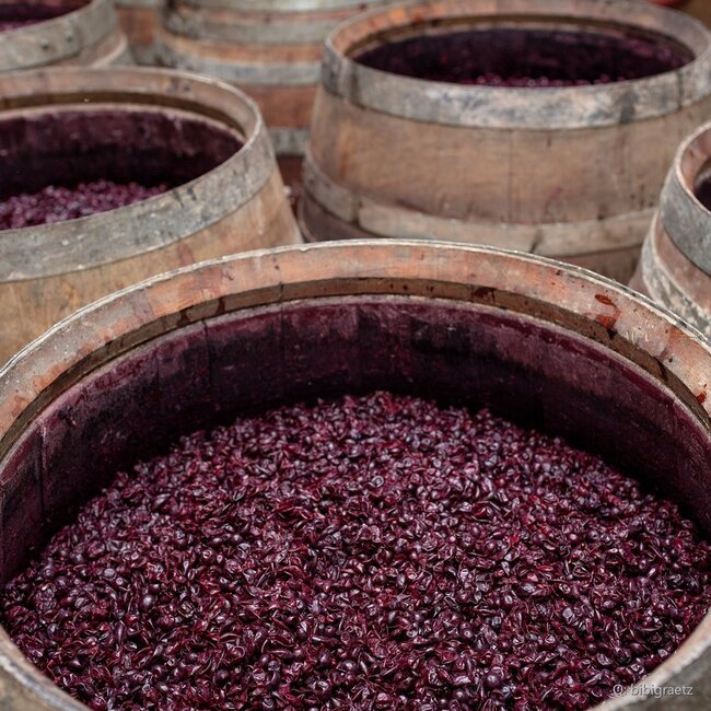Colore Toscana IGP 2018 0,75 l