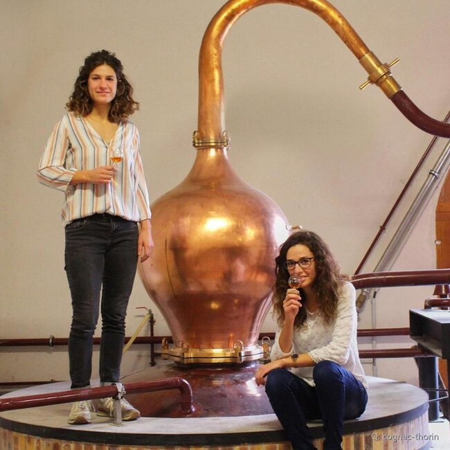 Cognac Grande Champagne Millesime 2000 0,7 l 40 % vol