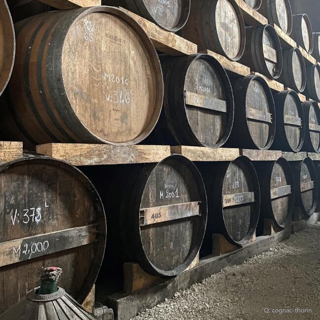 Cognac Grande Champagne Millesime 2000 0,7 l 40 % vol