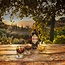 Averna Amaro Siciliano 1,0 l 29 % vol