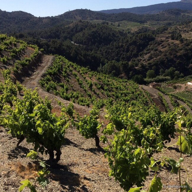 Clos Figueras Priorat DOQ 2021 0,75 l