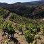 Clos Figueras Priorat DOQ 2021 0,75 l