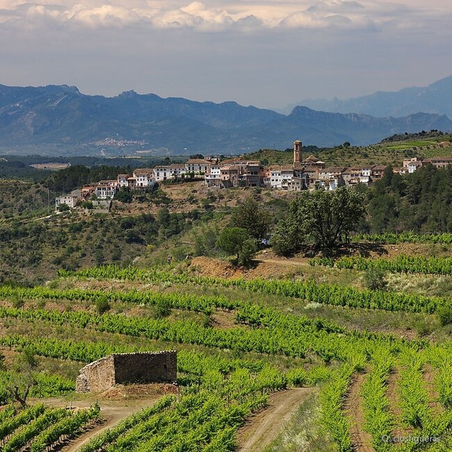 Clos Figueras Priorat DOQ 2021 0,75 l