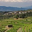 Clos Figueras Priorat DOQ 2021 0,75 l