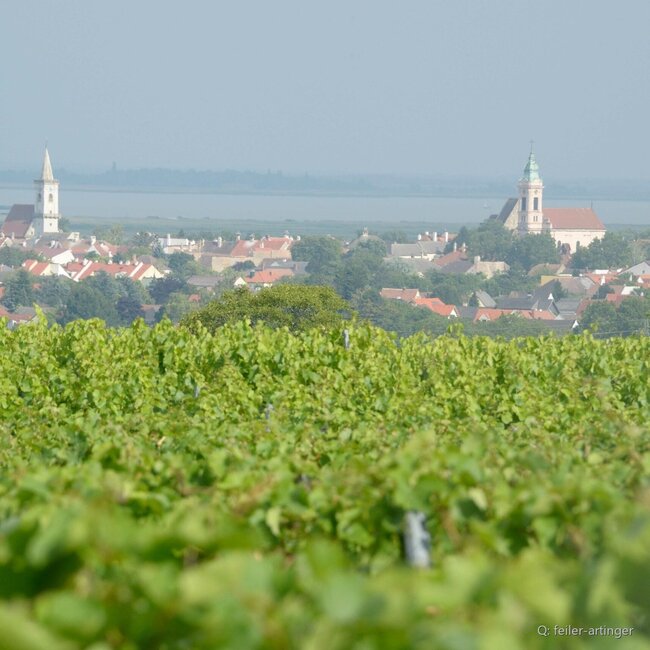 Traminer Beerenauslese 2024 0.375 l