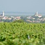 Traminer Beerenauslese 2024 0.375 l