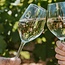 Les Mougeottes Chardonnay Vieilles Vignes 2025 0.75 l