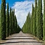 Pieve Santa Restituta Brunello di Montalcino DOCG 2021 0,75 l