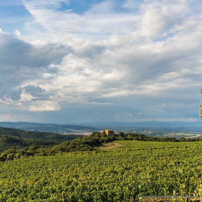 Pieve Santa Restituta Brunello di Montalcino DOCG 2021 0,75 l