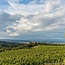 Pieve Santa Restituta Brunello di Montalcino DOCG 2021 0,75 l