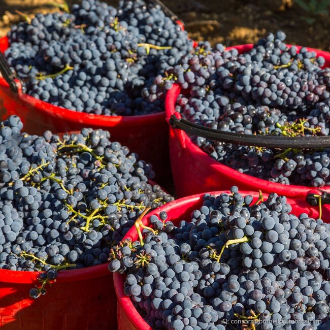 Pieve Santa Restituta Brunello di Montalcino DOCG 2021 0,75 l
