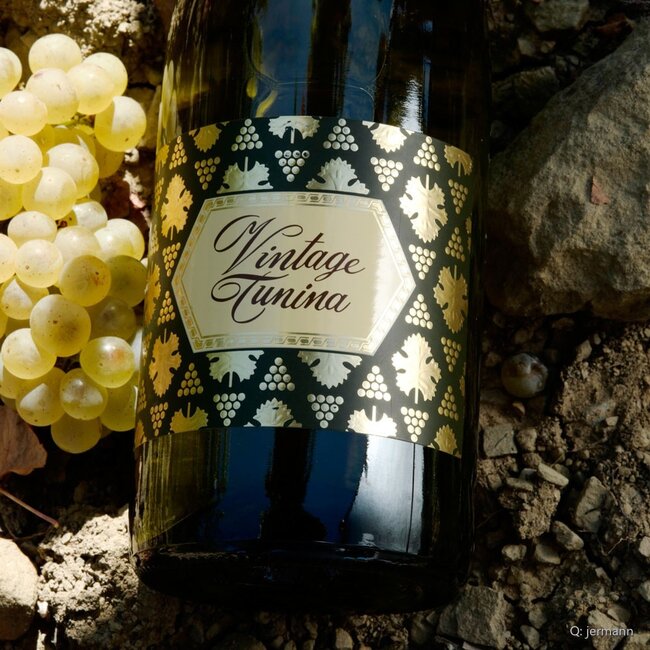 Chardonnay Friuli Venezia Giulia IGP 2025 0,75 l
