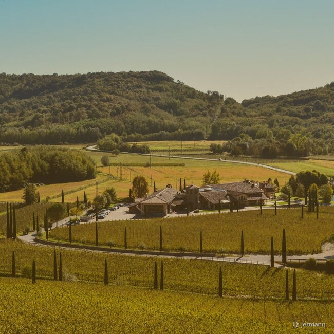 Chardonnay Friuli Venezia Giulia IGP 2025 0,75 l