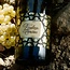 Sauvignon Blanc Friuli Venezia Giulia IGP 2025 0,75 l