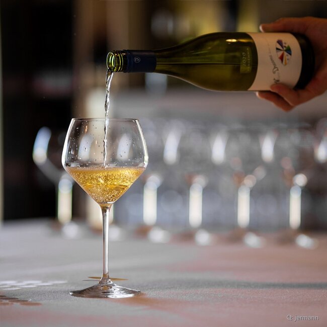 Sauvignon Blanc Friuli Venezia Giulia IGP 2025 0,75 l