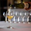 Sauvignon Blanc Friuli Venezia Giulia IGP 2025 0,75 l