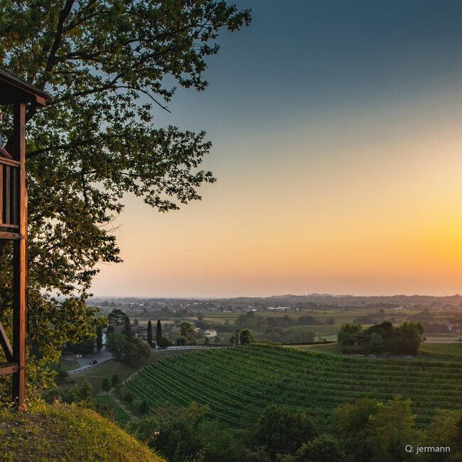 Vinnae Ribolla Gialla Friuli Venezia Giulia IGP 2025 0,75 l