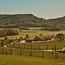 Vinnae Ribolla Gialla Friuli Venezia Giulia IGP 2025 0,75 l