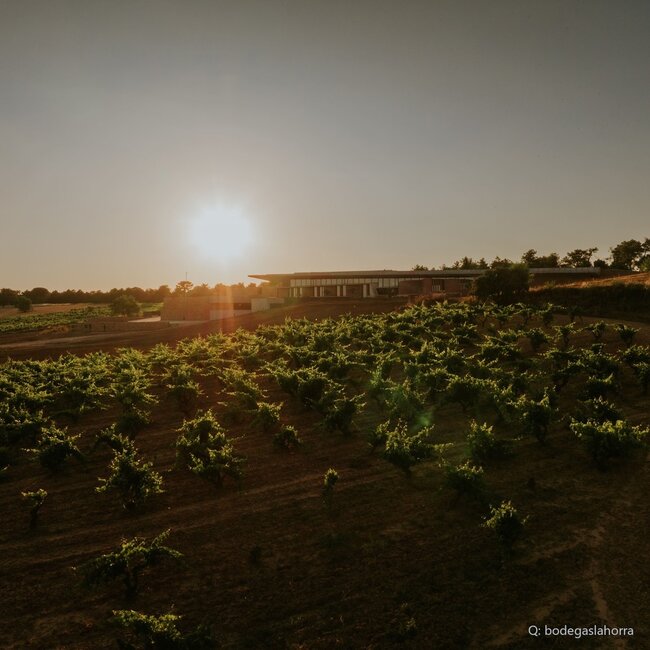 Corimbo Ribera del Duero D.O. 2022 0,75 l