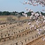 Corimbo Ribera del Duero D.O. 2022 0,75 l