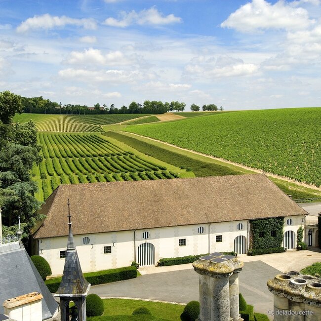 Comte Lafond Sancerre AOC 2025 0,75 l