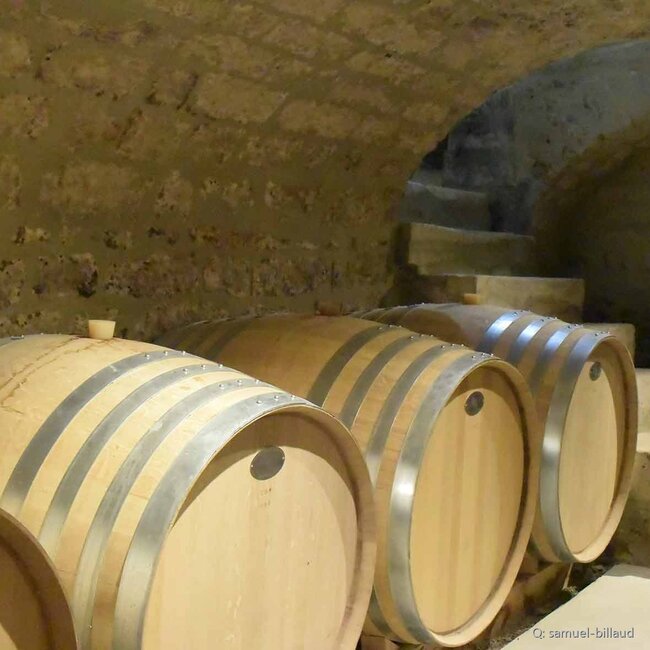 Chablis Premier Cru Mont de Milieu 2022 0,75 l