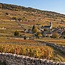 Chablis "La Chanfleure" AOC 2025 0,75 l
