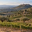 Vecciano Toscana IGT 2023 0,75 l