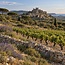 Source of Joy Rosé AOP Languedoc 2020 0,75 l
