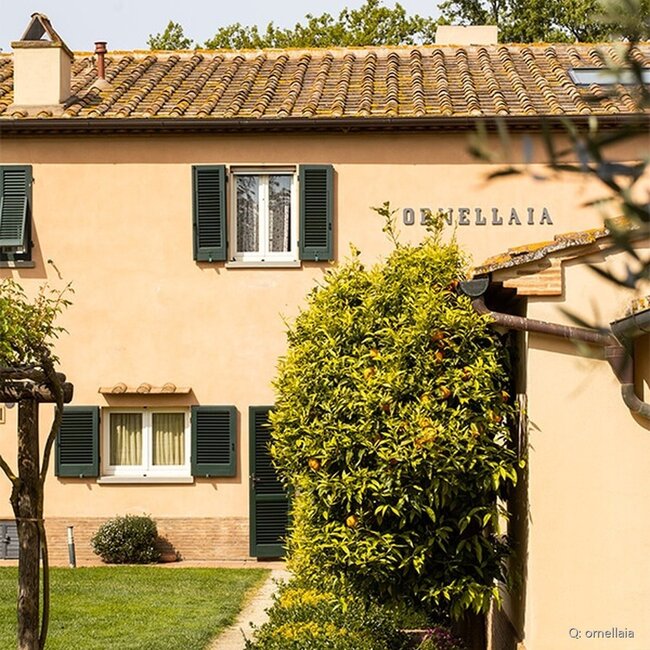 Le Serre Nuove dell'Ornellaia Bolgheri DOC 2023 0,75 l
