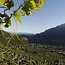 Weißburgunder Tradition Alto Adige DOC 2025 0,75 l