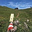 Grüner Veltliner Smaragd Höhereck Wachau DAC 2022 0,75 l