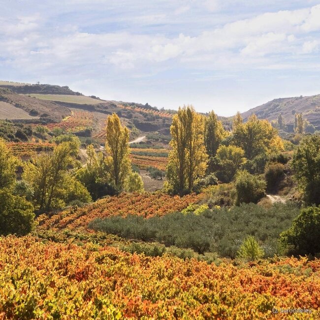 Barón de Ley Finca Monasterio Rioja DOCa 2022 0,75 l