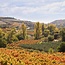 Barón de Ley Finca Monasterio Rioja DOCa 2022 0,75 l