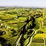 Riesling Kremser Weinberge DAC 2024 0,75 l