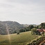 Mitzi Gelber Muskateller Südsteiermark DAC 2025 0,75 l