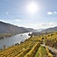 Grüner Veltliner Federspiel Stein am Rain Wachau DAC 2025 0,75 l