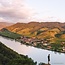 Mathias Hirtzberger Grüner Veltliner Federspiel Treu Wachau DAC 2025 0,75 l